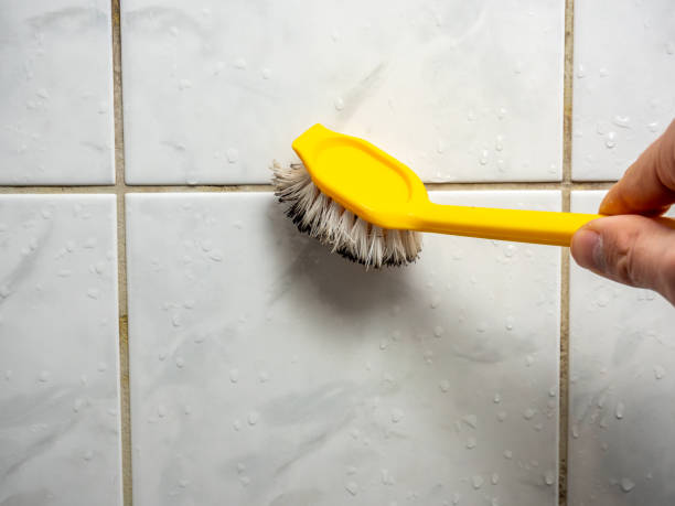 Mold Testing and Removal in Chiefland, FL